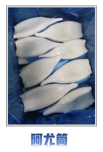 水產魷魚(圖7)