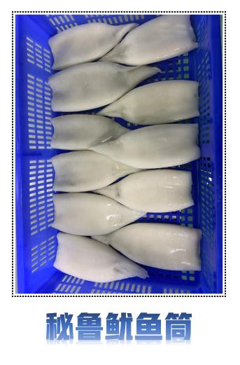 水產魷魚(圖9)